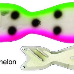 Superfly Flies 8" Watermellon