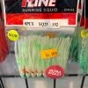 Gunarama Soft Baits Pline 2.5 Squid (Green)