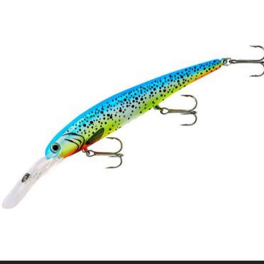 Big Rock Bandit Parakeet 1 Big Rock Bandit Parakeet