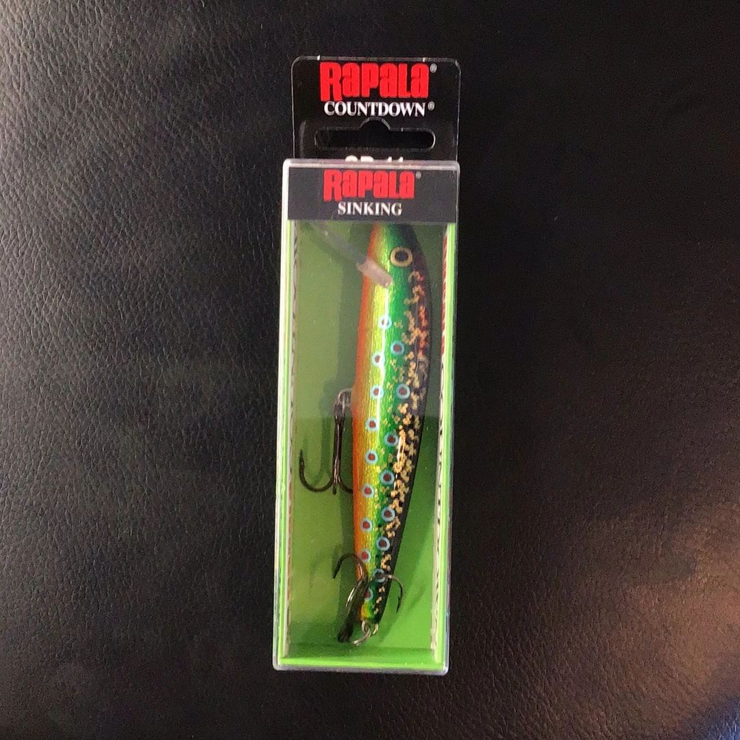 Gunarama Rapala CD-11 Brook Trout 1 Gunarama Rapala CD-11 Brook Trout