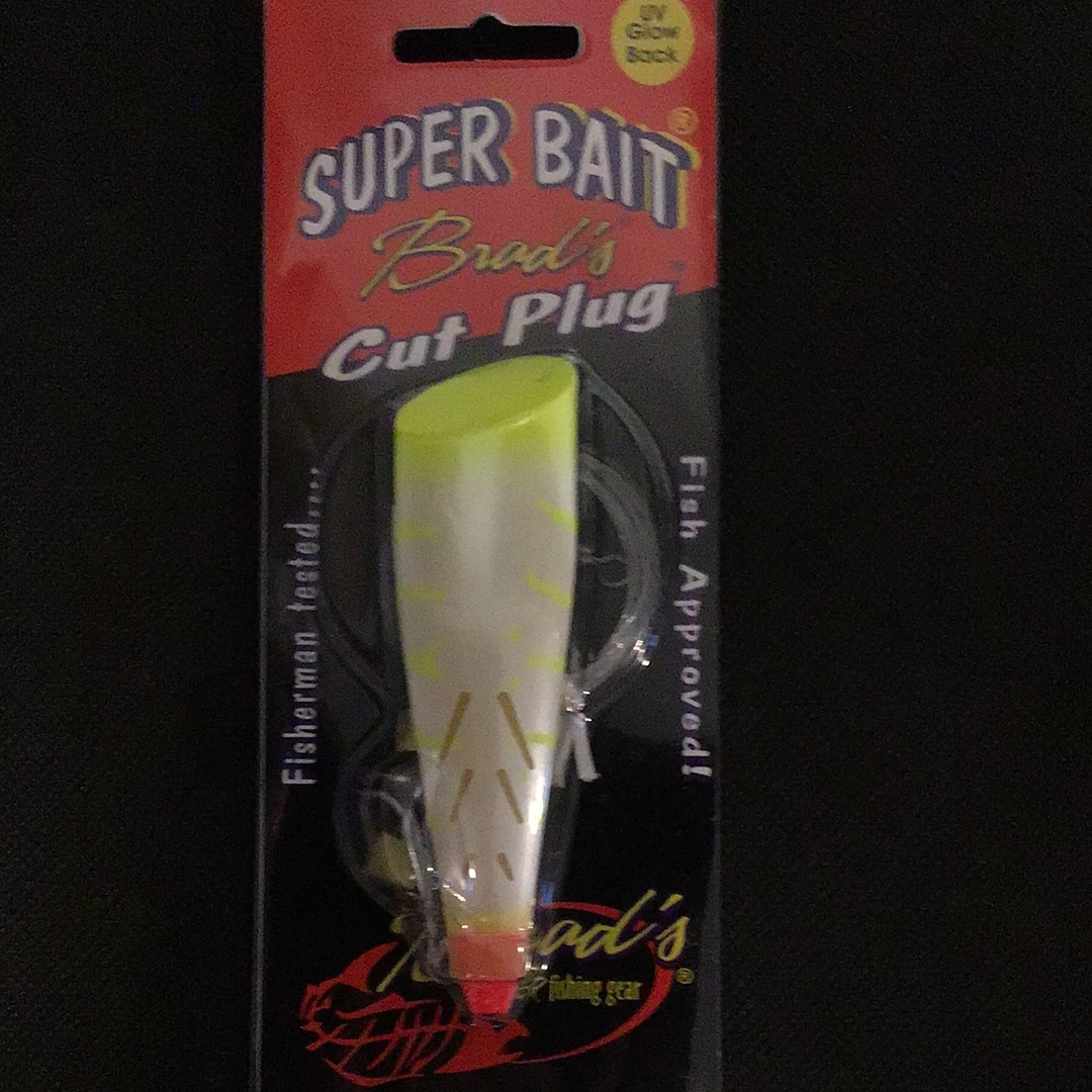 Big Rock Brads Cut Plug (Candy Corn) Brads Superbait’s 2 Big Rock Brads Cut Plug (Candy Corn) Brads Superbait’s