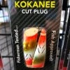 Gunarama Brads Kokanee Cut Plug 2-Pack (gold Diver Down) Brads Superbait’s